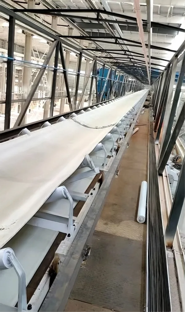 EE Polyester Conveyor Belt